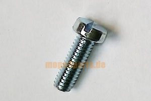 Schlitzschraube Wasserpumpe Sachs 50SW, 80SW, 6x18 verzinkt