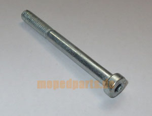 Innensechskantschraube M6x60 Sachs 125 (1251)