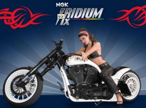 Zündkerze Hercules Prima 2 4 5 6,G3 Supra, IRIDIUM, BR6HIX NGK