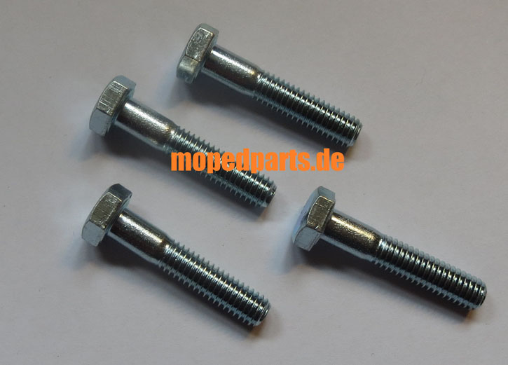 Sechskantschraube 6x30 mm, Festigkeit 8.8, Zylinderkopf Sachs 50/2, 50/3, 50/4 (nicht EKF)