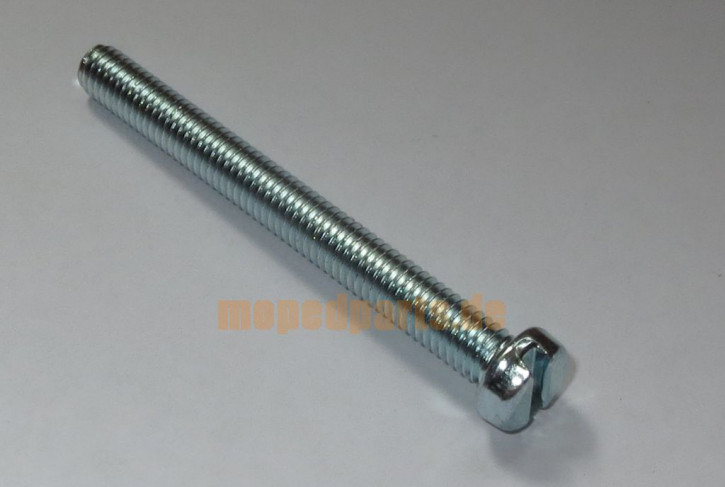 Schlitzschraube M6x60, Sachs 125 (1251)